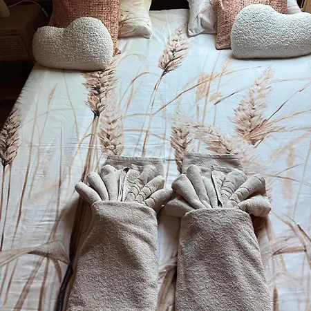 فيلة Maison 8-10 Pers 50m De La Acces Direct Dunes Jardin 1200m Clos *