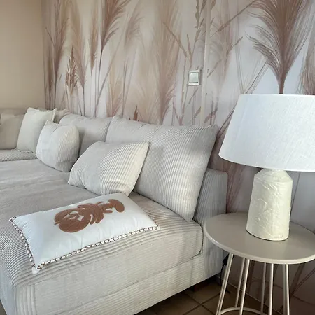 Maison 8-10 Pers 50m De La Acces Direct Dunes Jardin 1200m Clos Vila
