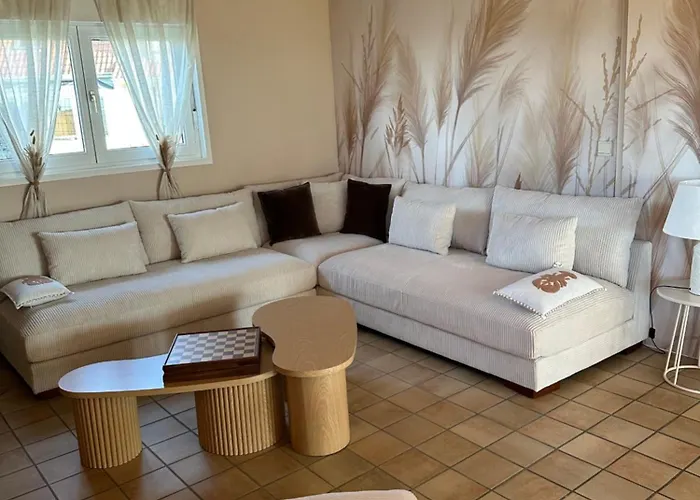 Villa Maison 8-10 Pers 50m De La Acces Direct Dunes Jardin 1200m Clos *