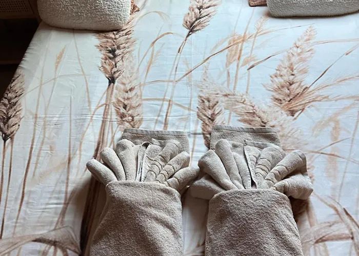 Villa Maison 8-10 Pers 50m De La Acces Direct Dunes Jardin 1200m Clos *